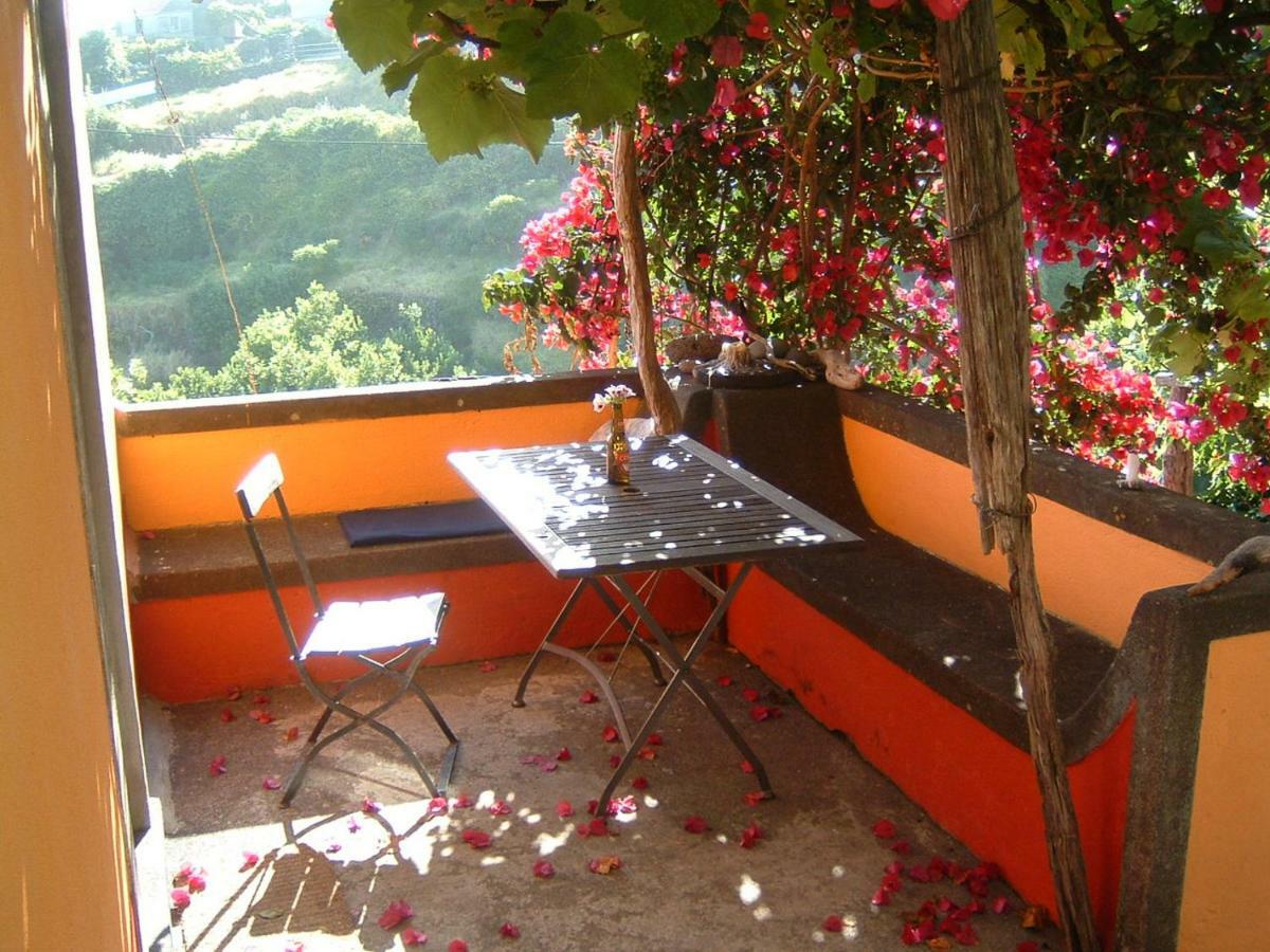 Madeira-Meerblick-Haus Estreito Da Calheta Kültér fotó