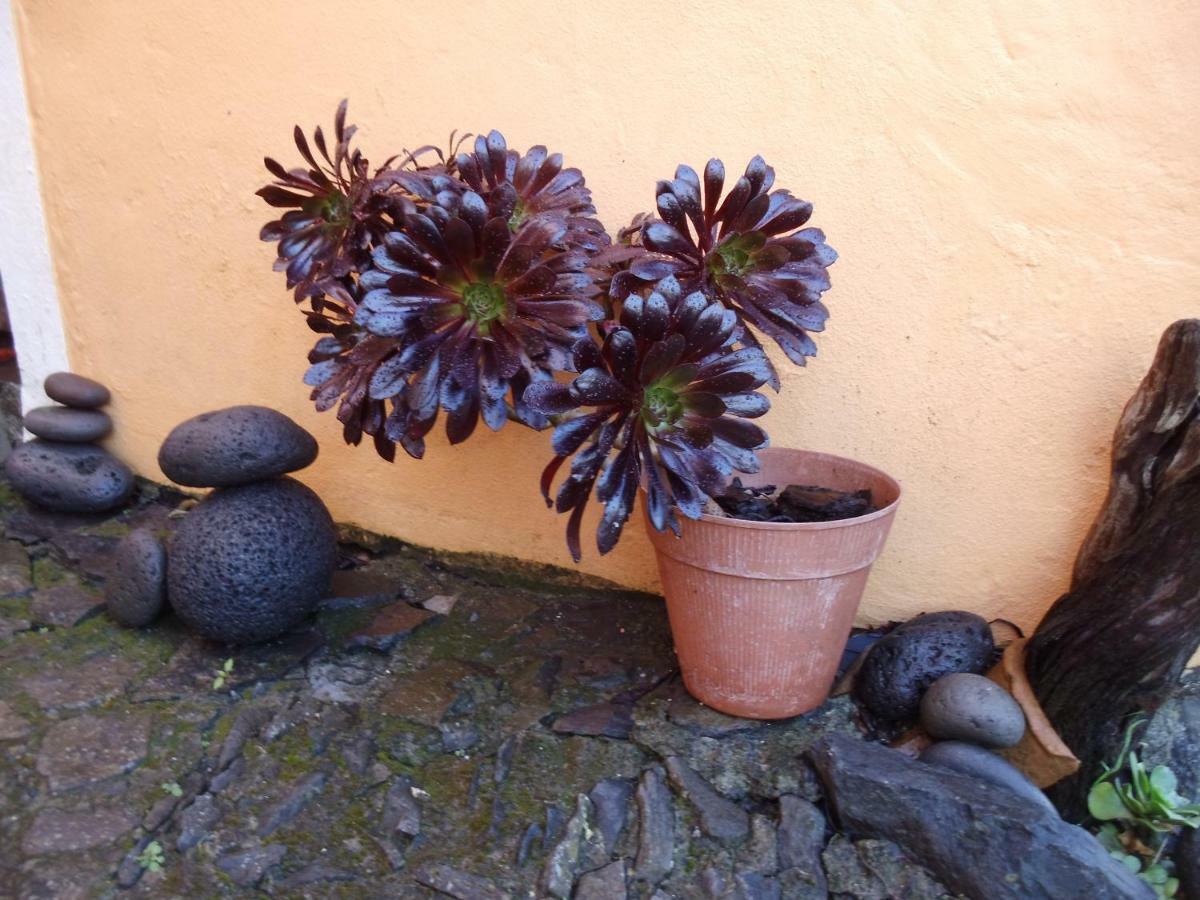 Madeira-Meerblick-Haus Estreito Da Calheta Kültér fotó