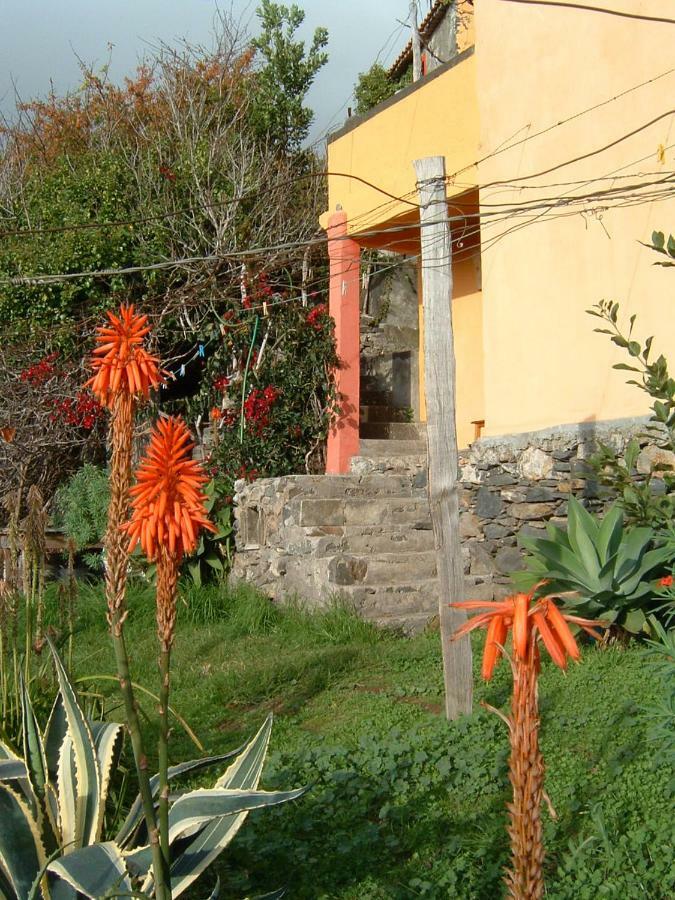 Madeira-Meerblick-Haus Estreito Da Calheta Kültér fotó