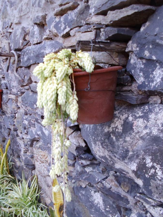 Madeira-Meerblick-Haus Estreito Da Calheta Kültér fotó